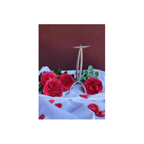 Silver-candle Stick